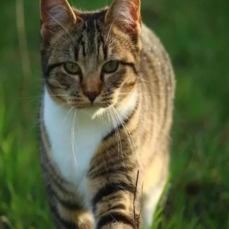 High Fens Nature & Sauna Casa vacanze